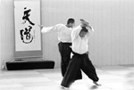 Aikido - Jubiläumslehrgang - Shimizu Sensei